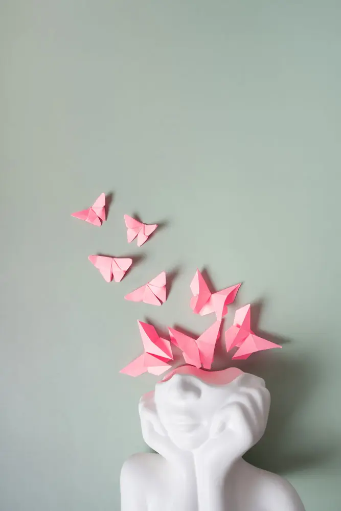 Pink Butterflys